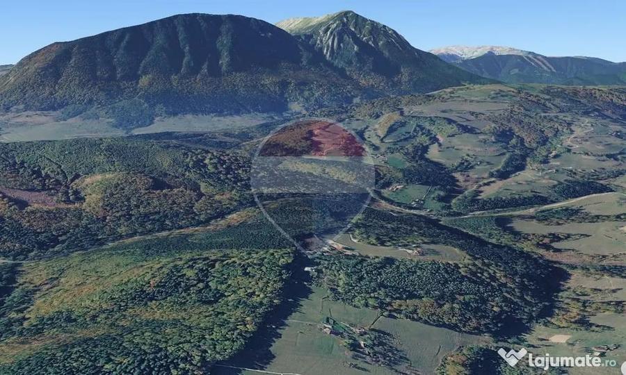 Teren extravilan Poiana Marului 1092mp, inconjurat de padure - 2