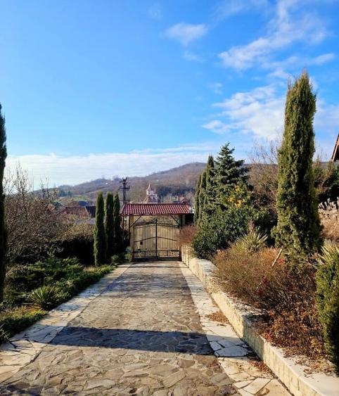 Casă individuală cu 5 camere cu Teren 4000 Mp în Podgoria