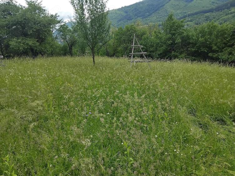 Teren de 1200 mp, în Valea Doftanei