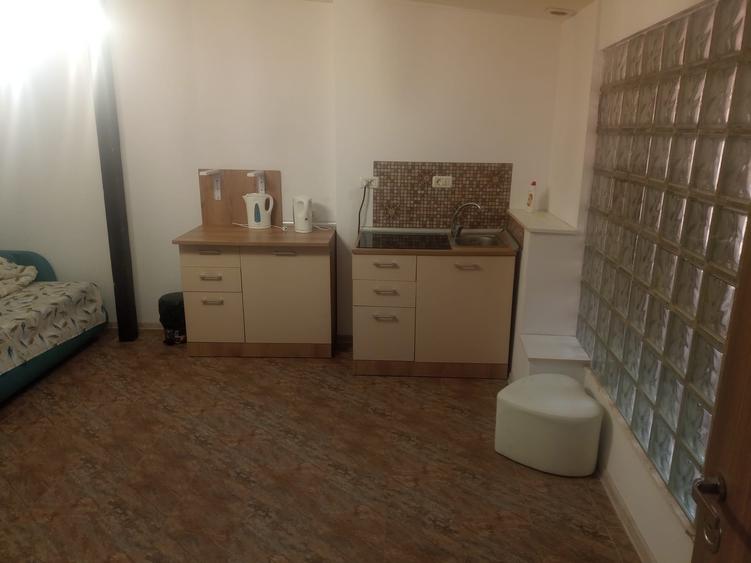 Apartament tip studio in vila, zona Astra - 2