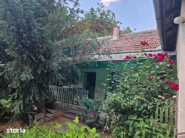 Casă cu 4 camere cu Teren 2676 Mp în Ciumeghiu