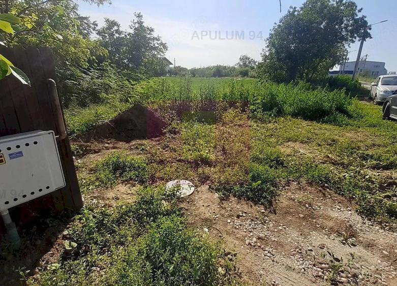 Teren de 5000 mp, în Copăceni