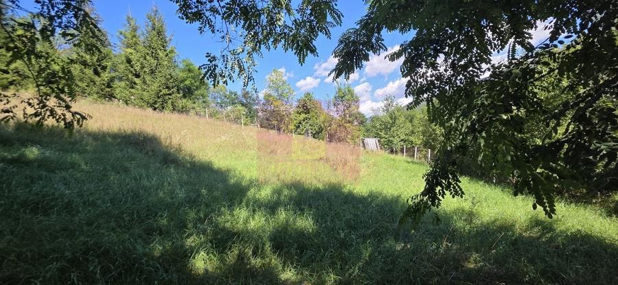 Teren Construcții intravilan de 1825 mp, în Valea Doftanei