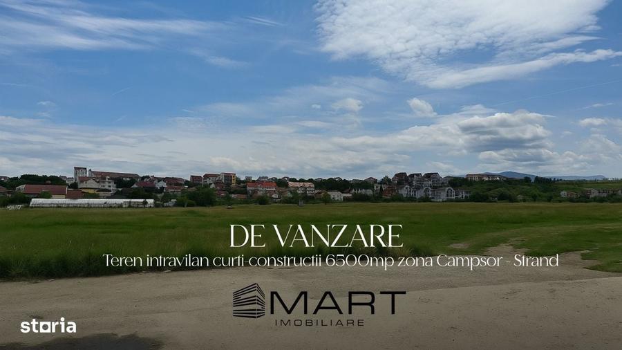Teren intravilan 6500mp la drumul principal Campsor - Strand - 1
