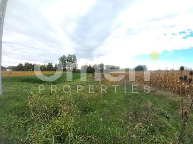 Teren Construcții intravilan de 1070 mp, în Cătălina