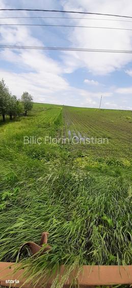 De vanzare teren intravilan 1,31 ha , Vornicenii Mici-Suceava