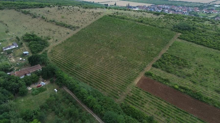 Colna cu 7 camere in Covasan? ?i teren 9 ha - 11