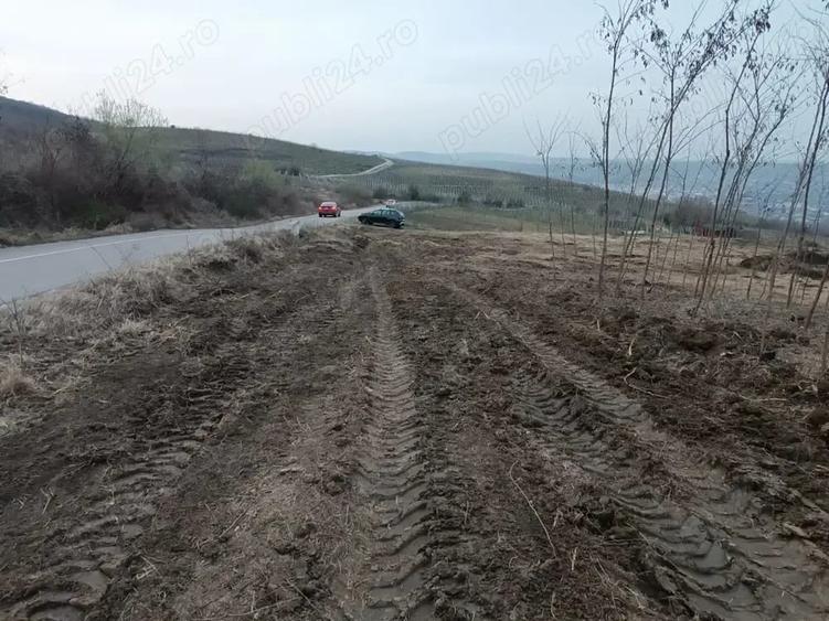 Teren de 5000 mp, în Central