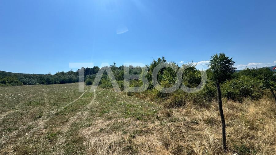 Teren agricol extravilan de 2730 mp, în Calea Poplăcii