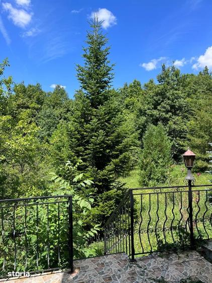 Duplex, Valenii de Munte, Drajna de Sus - 17