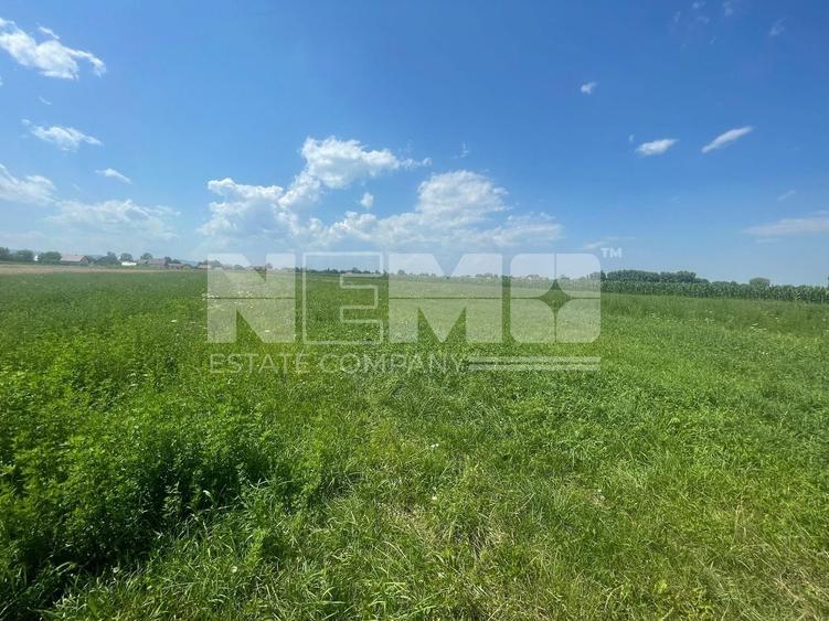 Teren Construcții intravilan de 3770 mp, în Frătăuții Vechi