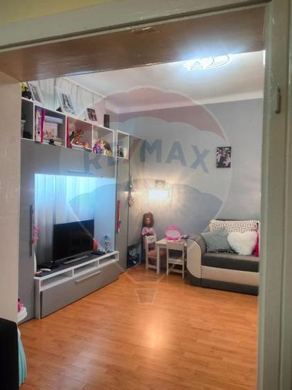 Casa la tara in satul Retis, comuna Bradeni, aproape de ... - 15