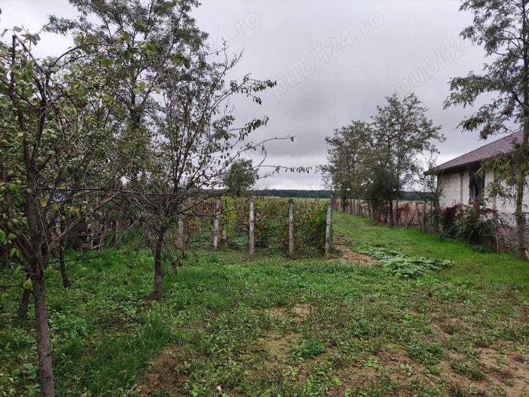 Teren de 3384 mp, în Periș
