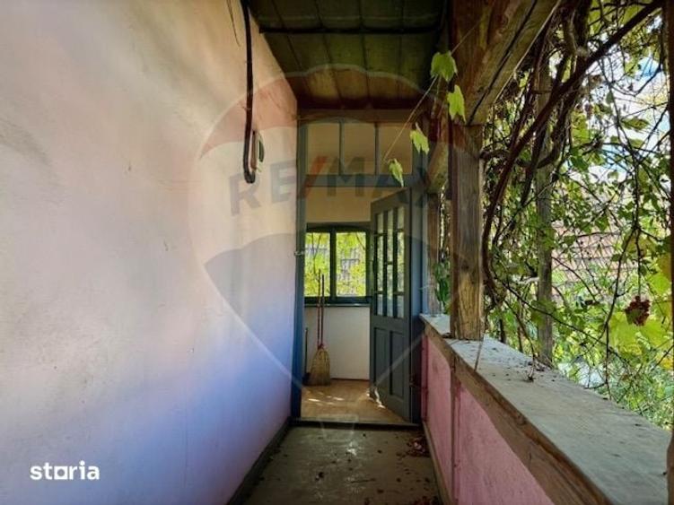 Casă cu 2 camere cu Teren 1449 Mp în Ocna Șugatag