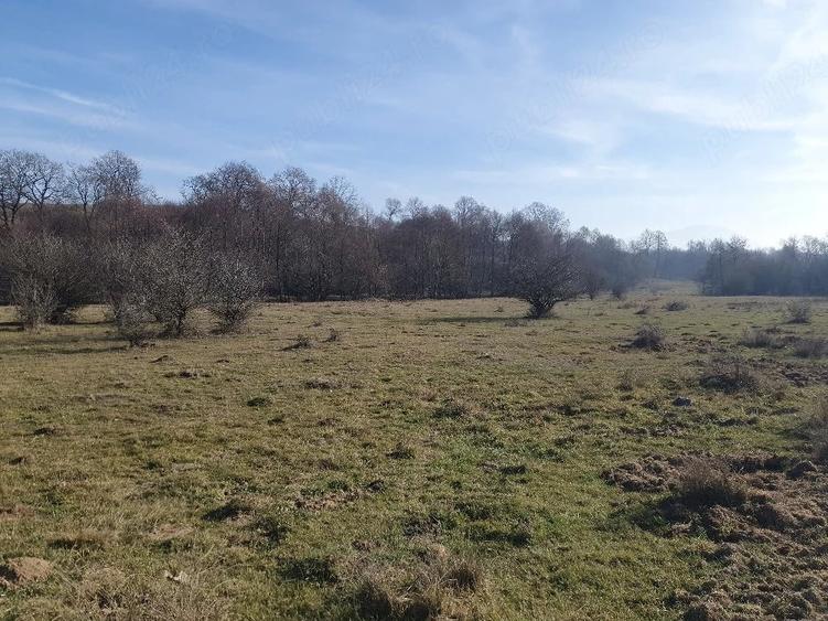 Teren de 4100 mp, în Vlădeni