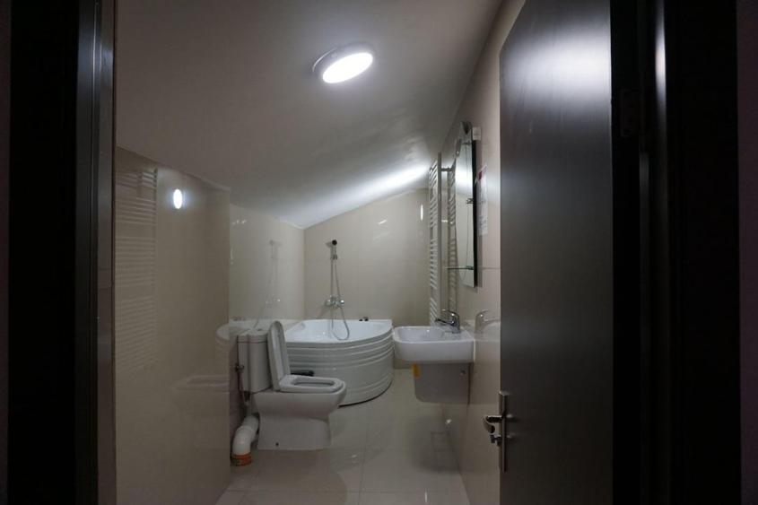 Spațiu comercial, de 485 mp, în Victoriei