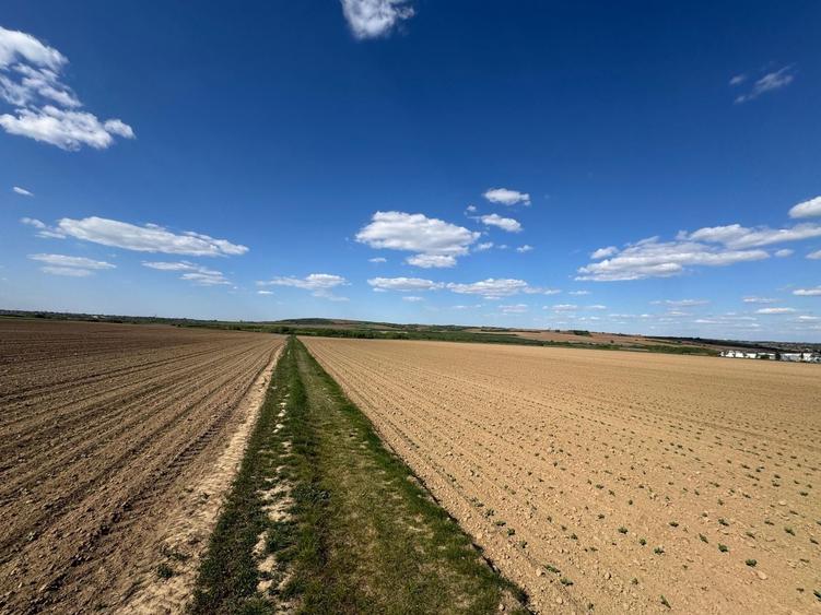 Teren agricol extravilan de 5287 mp, în Paleu