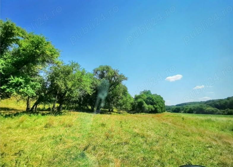Teren de 50000 mp, în Central