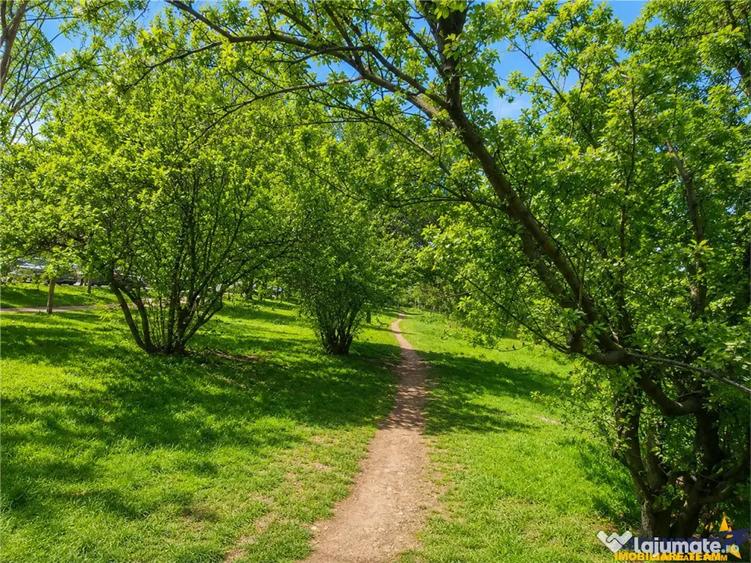 Casă cu 4 camere cu Teren 343 Mp în Florilor