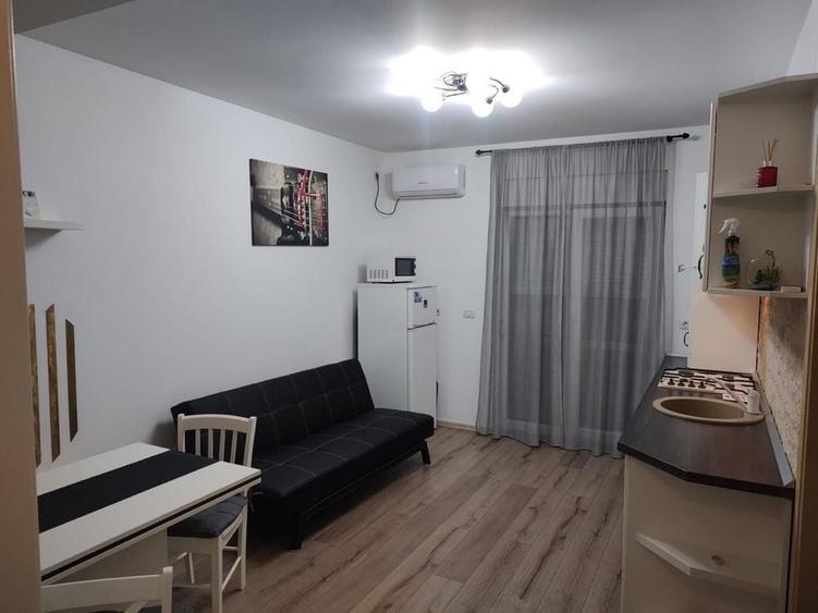 Inchiriez apartament cu o camera Dumbravita - 2
