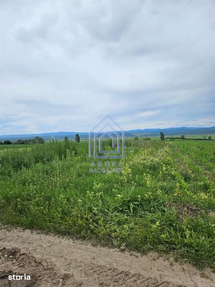 Teren de 2200 mp, în Rădășeni