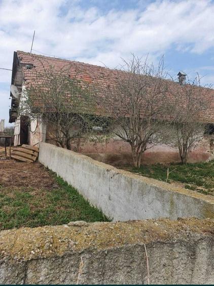 Teren de 1333 mp, în Șercaia
