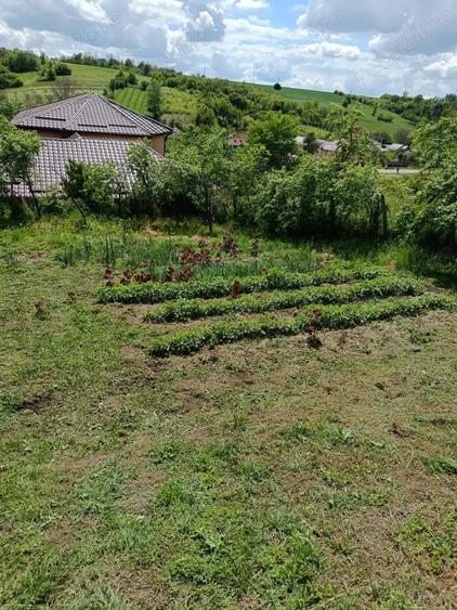 Casă cu 3 camere cu Teren 10300 Mp în Ghercești