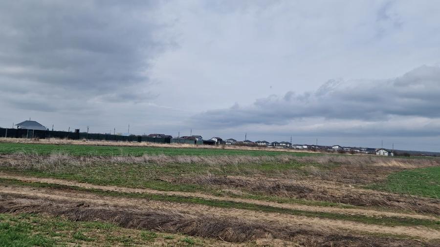 Teren Construcții intravilan de 13298 mp, în Săbăreni