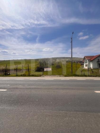 Teren Construcții intravilan de 3000 mp, în Sud