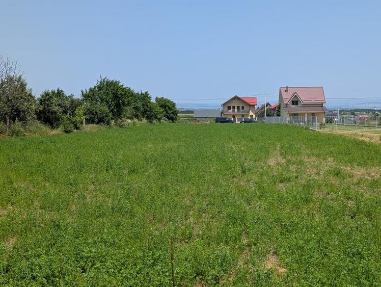 Teren Construcții intravilan de 4600 mp, în Vest