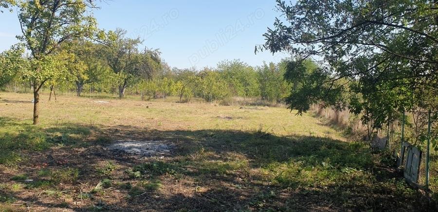 Teren de 4537 mp, în Teișani