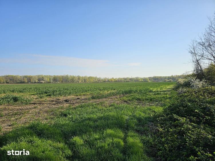 Teren de 10100 mp, în Gorgota