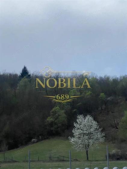 Casă cu 10 camere cu Teren 1332 Mp în Mănăstirea Cașin