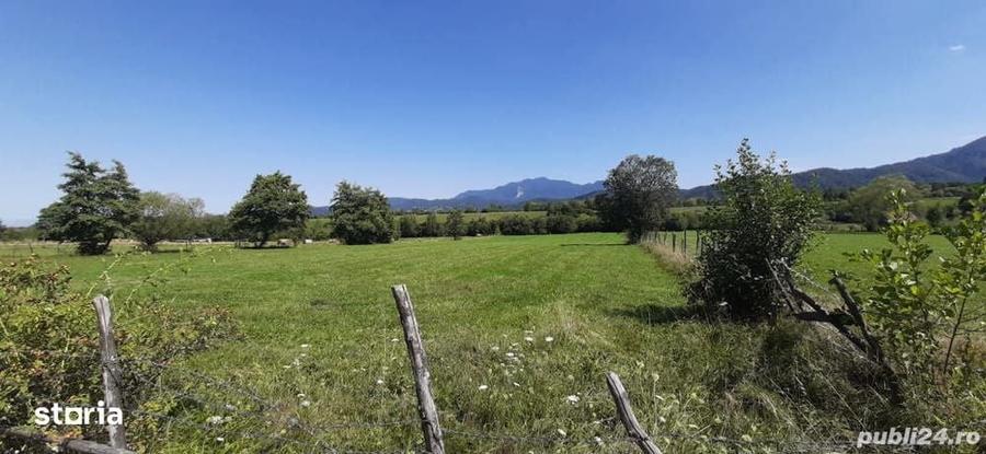 Teren 9350 mp Bran Livada, Extravilan - 2