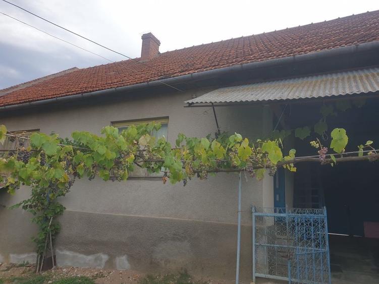 Casă cu 3 camere în Soceni