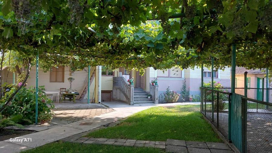 Casa familiala (mobilata) cu spatii comerciale de vanzare (Turda) - 8