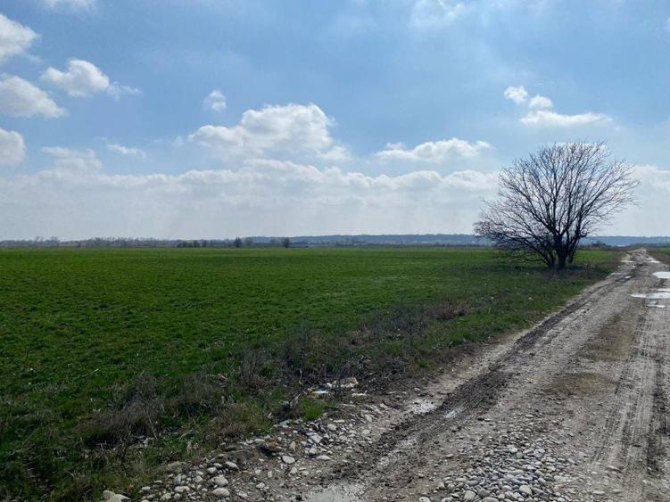 Teren Construcții intravilan de 2909 mp, în Gruiu