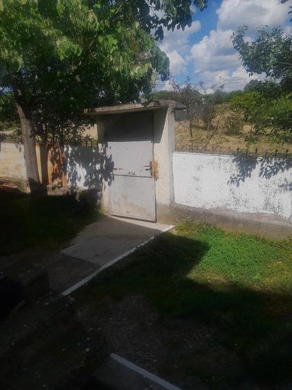 Casa de vanzare jud Bihor - 9