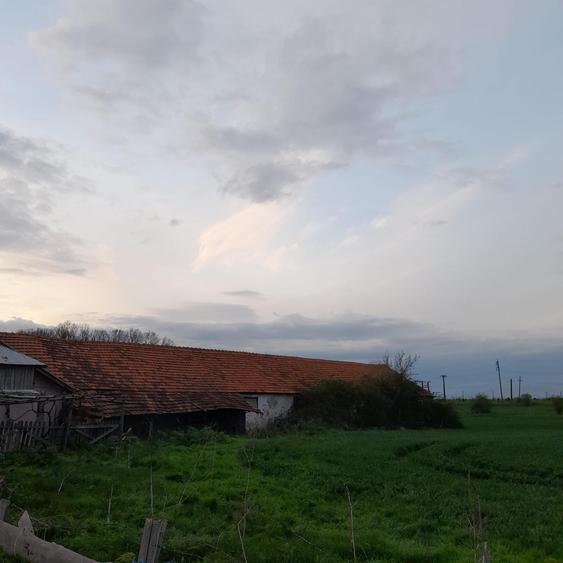 Teren agricol intravilan de 5 mp, în Ciuperceni (Cosmești)