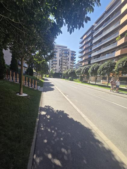 Apartament cu 2 camere semidecomandat în Sopor