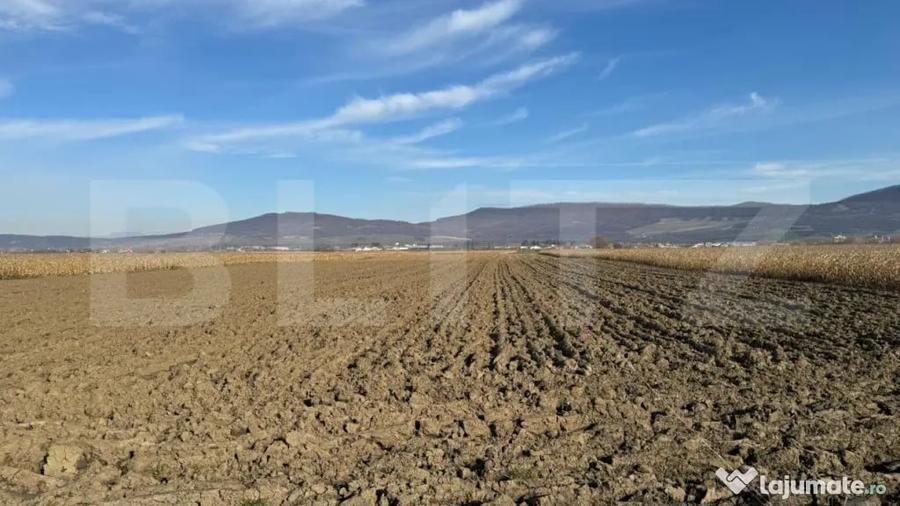 Teren de 5300 mp, în Arcalia