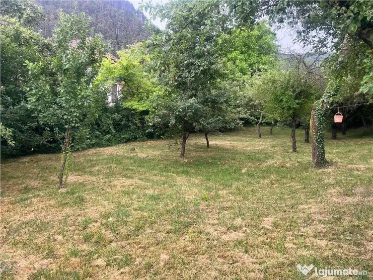 Casă cu 5 camere cu Teren 1590 Mp în Schei