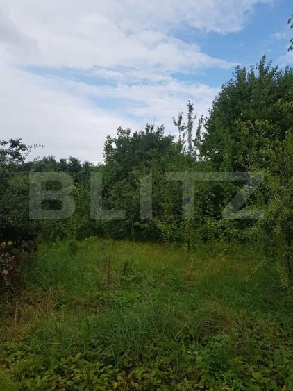 Teren Construcții intravilan de 2500 mp, în Bucium