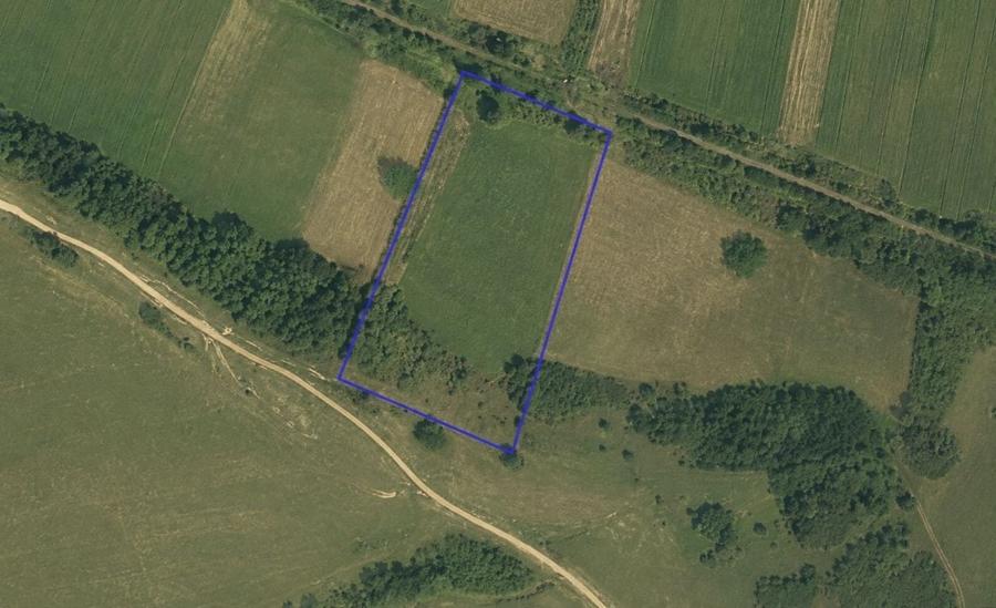 Teren agricol extravilan de 11500 mp, în Cristian