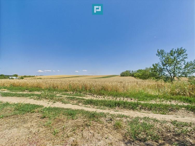 Teren Construcții intravilan de 12100 mp, în Remetea Mică