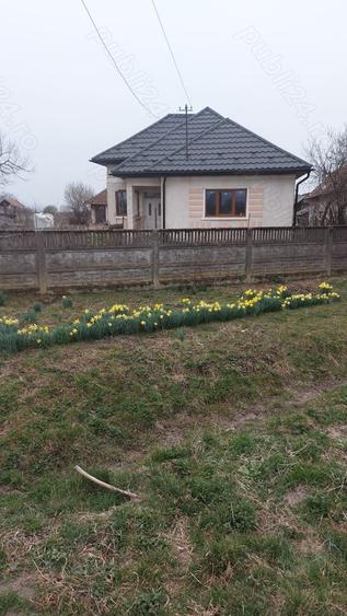 Casă cu 3 camere cu Teren 5000 Mp în Valea Vinului
