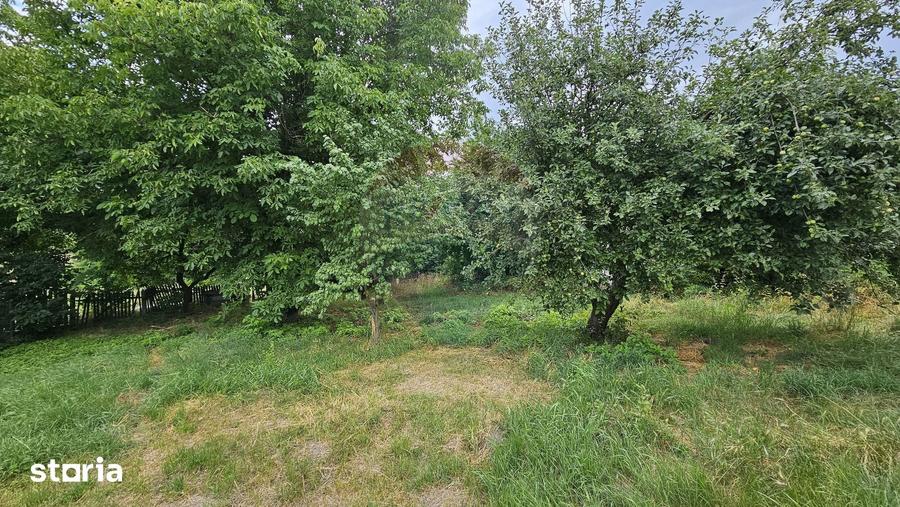 Casă cu 2 camere cu Teren 9200 Mp în Șendriceni