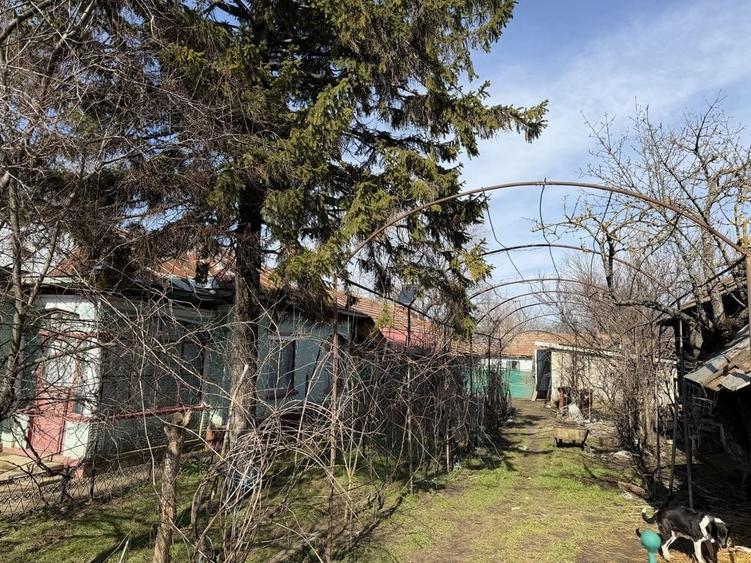 Casă cu 4 camere în Viișoara