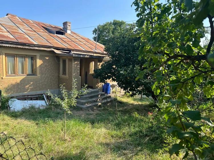 Casă cu 5 camere în Central