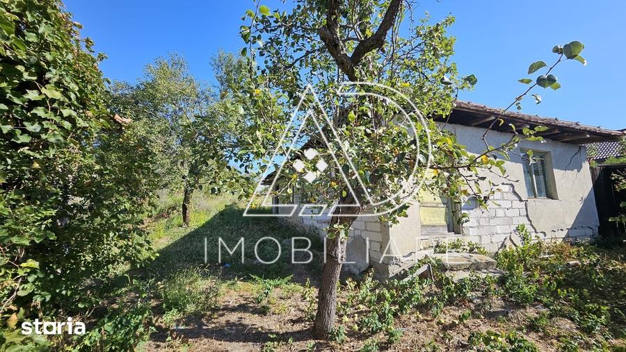 Casă cu 2 camere cu Teren 4067 Mp în Bălănești